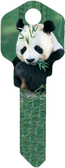 Big Panda Key